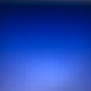 Meet your Posher, Dorothy